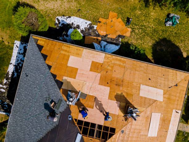 Best Flat Roof Repair Services  in West Columbia, TX