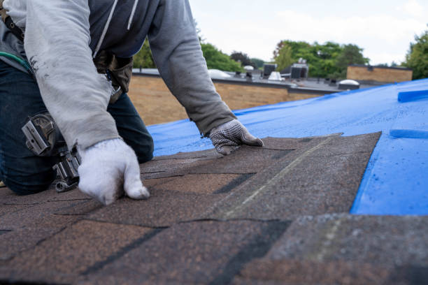 Best Local Roofing Companies  in West Columbia, TX