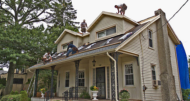Best Storm Damage Roof Repair  in West Columbia, TX