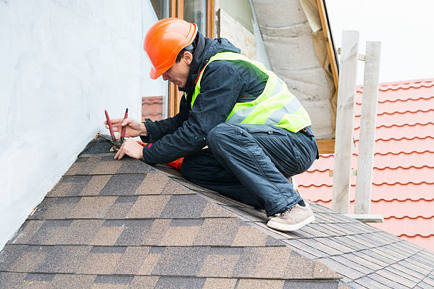 Best Roof Maintenance Services  in West Columbia, TX