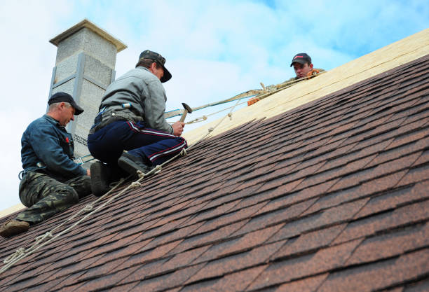Best Residential Roofing Contractor  in West Columbia, TX